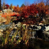 " Японский сад " Краснодар... :: Николай Саржанов