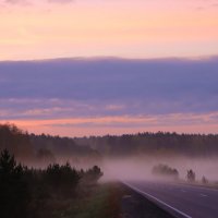 Туманное утро :: Галина Ильясова Туманное утро :: Галина Ильясова