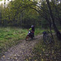 Встреча на лесной дорожке :: Сергей Цветков