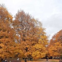 Осень золотая в Коломенском :: Елена Семигина