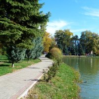 Природа Гагаринского парка :: Валентин Семчишин Природа Гагаринского парка :: Валентин Семчишин