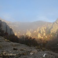 Природа Крыма :: Amazing Cosmea