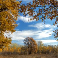 Есть в осени свое очарование :: Наталья Димова