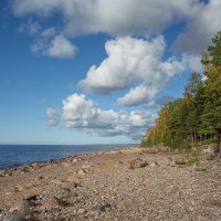 *** :: Геннадий Порохов