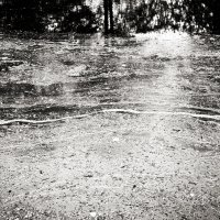 Фотография :: Денис Безногов