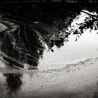 Фотография :: Денис Безногов Фотография :: Денис Безногов