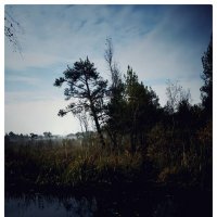 *** :: someone somewere