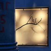 *** :: someone somewere