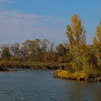 Осенние будни :: Мария Реброва