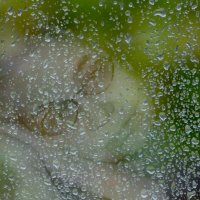 НЕПОГОДА... :: Elvira E. 