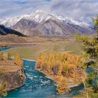 ***** :: Алексей Мезенцев