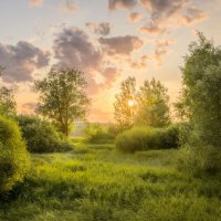 Ах! Лето! Горячий закат! :: Валерий VRN