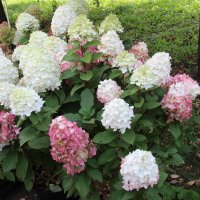 ОСЕНЬ :: Венера Чуйкова