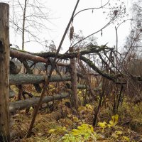 Околица :: юрий поляков