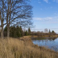Пруд :: Сергей Ц