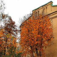 Осень в Трехпрудном переулке :: Любимова Ольга 