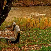 до весны :: Игорь Kуленко