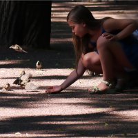 Воробушки. :: Станислав Лебединский Воробушки. :: Станислав Лебединский