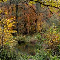 Октябрь :: Александр Орлов