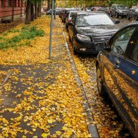 Осень :: **** vedin