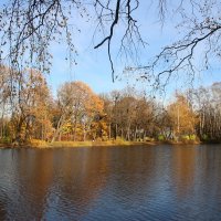 Осень на Елагином :: Наталья Герасимова