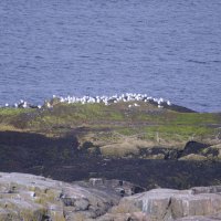 НаТериберке :: esadesign Егерев