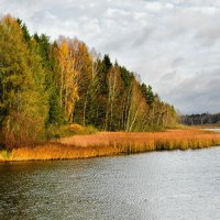 Картинка осени. :: Милешкин Владимир Алексеевич 