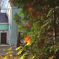 Красота  осени :: Фотогруппа Весна