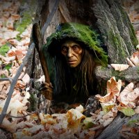 На Ефимия осеннего нечистая сила балуется! :-) :: Андрей Заломленков