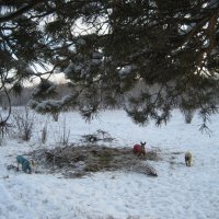 Прогулки по островам :: Anna Ivanova Прогулки по островам :: Anna Ivanova