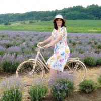 Було літо. Лаванда :: Степан Карачко