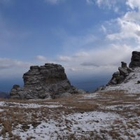 Природа Крыма :: Amazing Cosmea