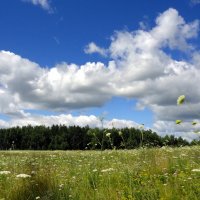 Ещё недавно было лето. :: nadyasilyuk Вознюк Ещё недавно было лето. :: nadyasilyuk Вознюк