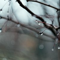 Свет в капле :: yuriim ㅤ