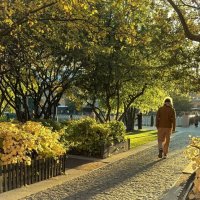 Проходит октябрь :: Мария - Maria