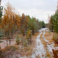 Последние краски :: Сергей Никифоров