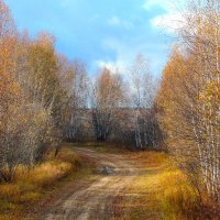 Осенняя дорога варианты :: Сергей Никифоров