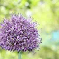 Красивый look :: Ольга Савельева 