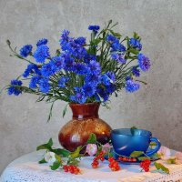 Дачный :: Валентина Богатко 