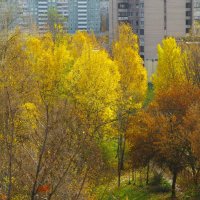 Луч солнца прорывался через облака... :: Юрий Куликов Луч солнца прорывался через облака... :: Юрий Куликов