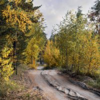 Вечер в осеннем лесу :: Валерий VRN Вечер в осеннем лесу :: Валерий VRN