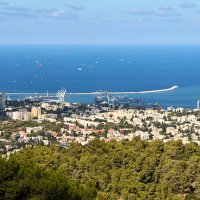 Порт Хайфы  с вершины горы :: Александр Деревяшкин