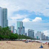 *** :: Николай Чекалин