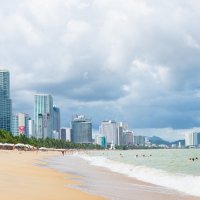 *** :: Николай Чекалин