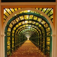 Петергоф :: Nataly St. 