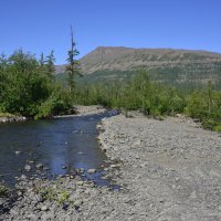 *** :: Александр Хаецкий