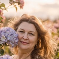 The blonde among the hydrangeas :: Vsevolod Boicenka