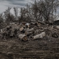 Дрова :: SanSan 