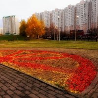 Подготовка парка имени Артёма Боровика к зиме. :: Татьяна Помогалова