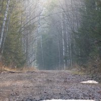 Осень в Лесу :: Иван Ермен